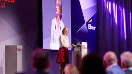 Kerstin Andreae hält eine Rede auf dem BDEW Kongress 2024